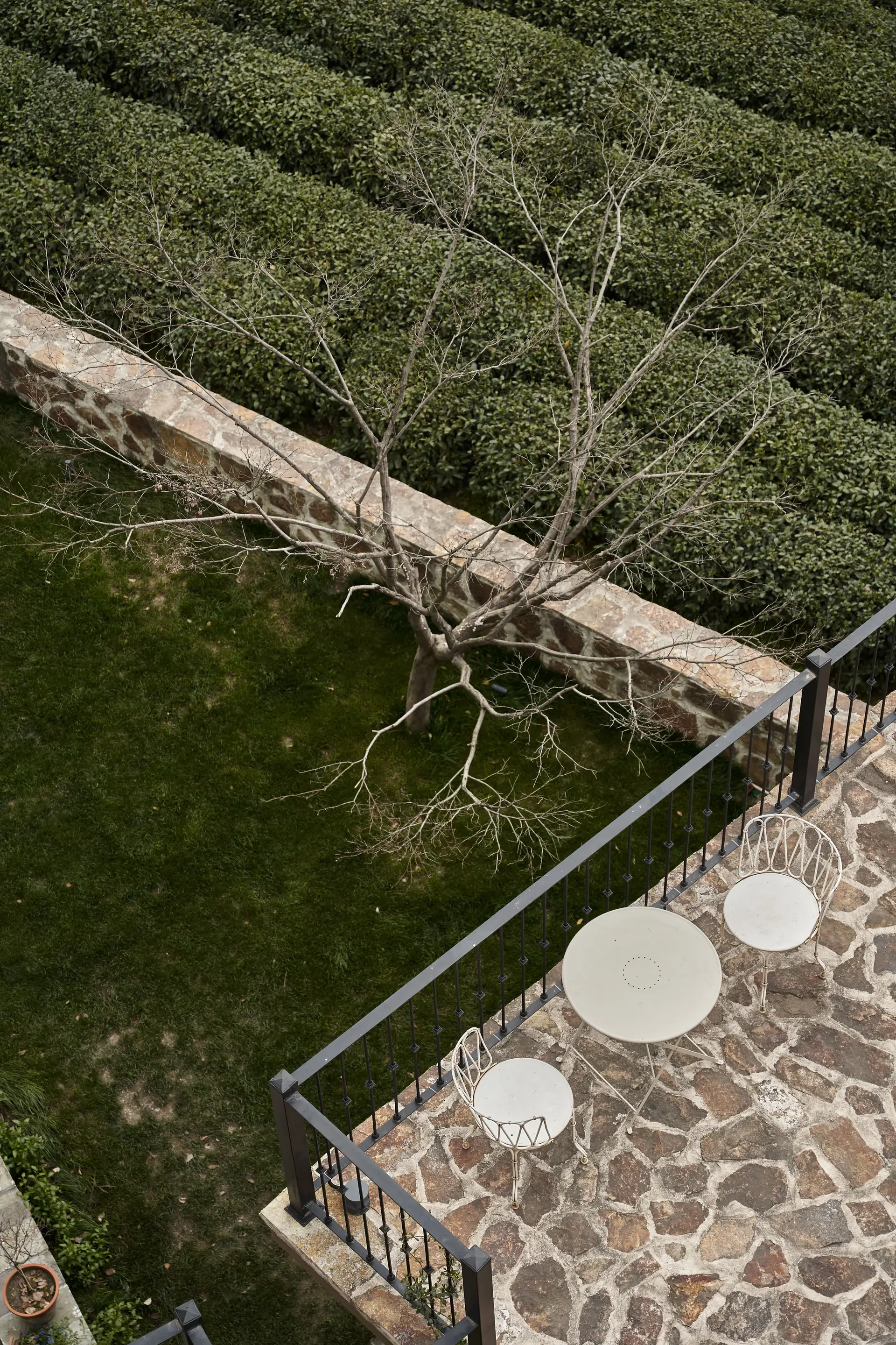 Elegáns kerti terasz terméskő burkolattal és sűrű lombos növényekkel